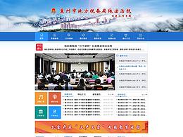 企业网站