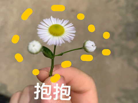 高中时画的