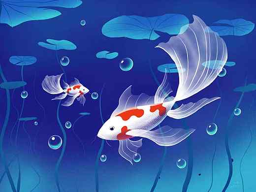 錦鯉（個(gè)人主頁(yè)-ZMzk2ODQ1MDg=） - 創(chuàng)作習(xí)作 - 站酷設(shè)計(jì)師魚(yú)悠游原創(chuàng)素材 - 站酷ZCOOL