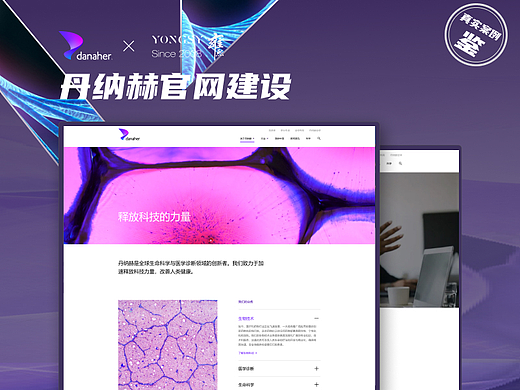 【上海雍熙YONGSY】高端网站建设：丹纳赫