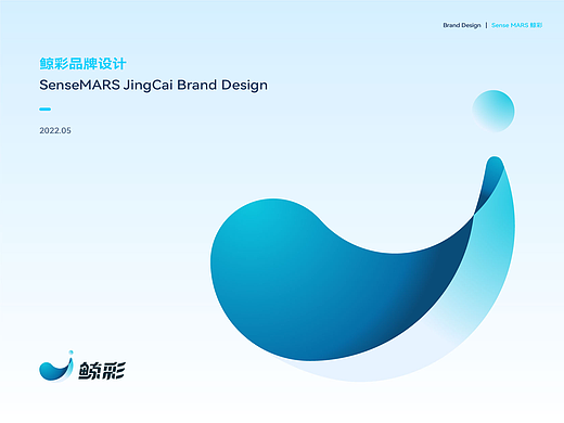 元宇宙技术品牌|视觉全案 SenseMARS鲸彩品牌设计