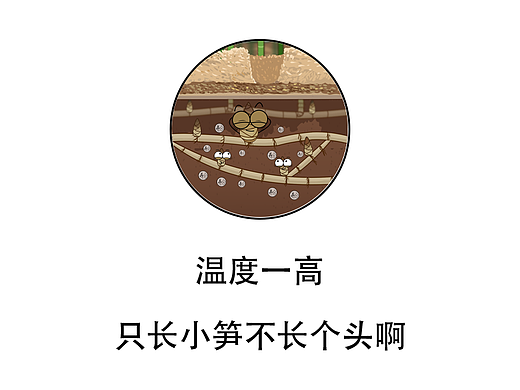 温度一高，只长小笋不长个头啊