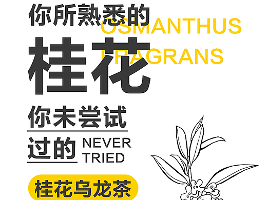 公众号设计-产品