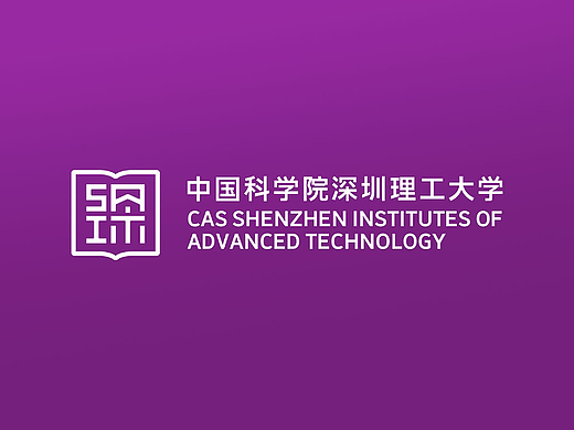 中国科学院深圳理工大学