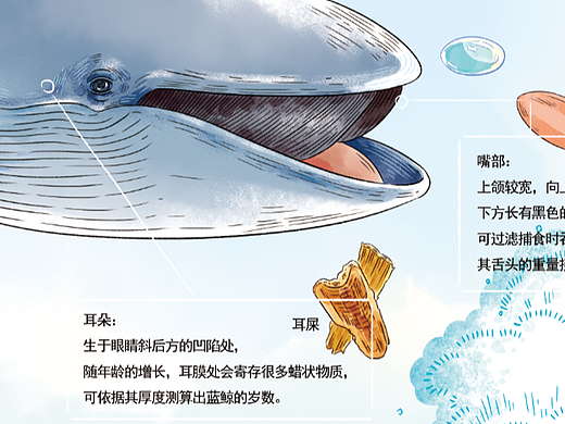 儿童科普插图设计（一）