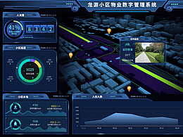 大屏可视化