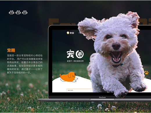 宠圈网页作品