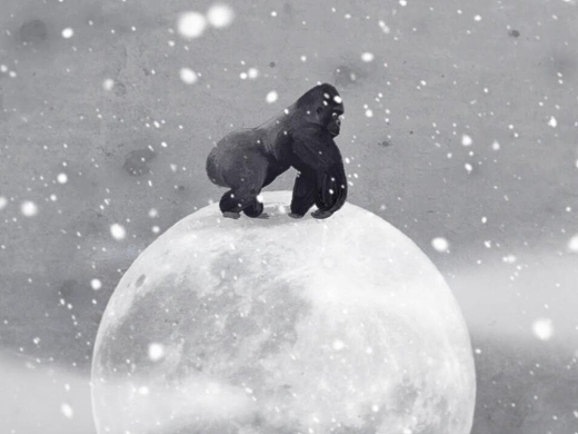 雪景大猩猩MG短片