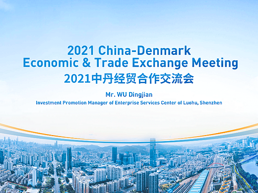 PPT定制/中丹经贸合作交流会PPT/Keynote 演示定制设计