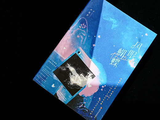 《风眼蝴蝶》丨书籍装帧设计