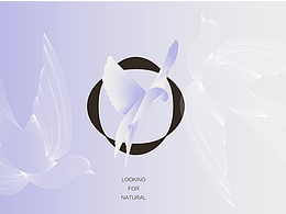 品牌视觉