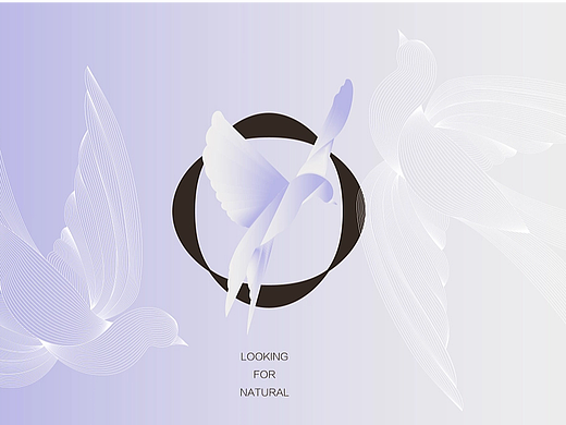 精致国风！高级感滋补品牌VI设计