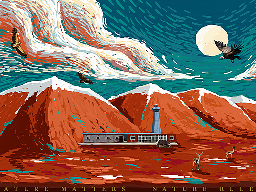 电视剧《圣地可可西里》概念海报