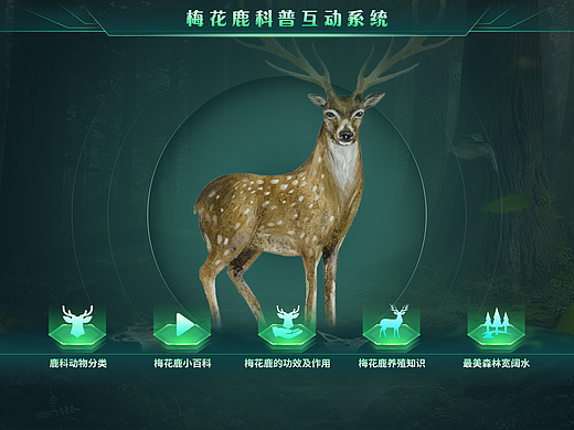 动物科普触摸屏