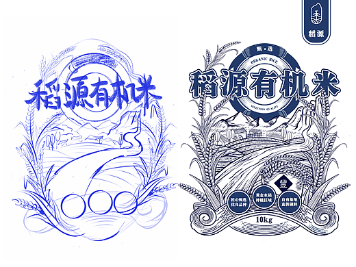原创｜农产品包装设计插画大米品牌创意包装