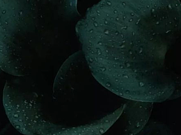 一款合格的商业logo，具备的特质！