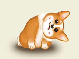 柯基--小小短腿