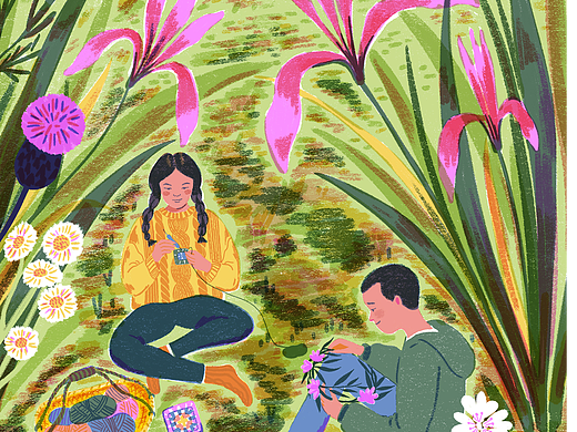 马兰花