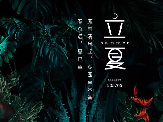 二十四节气（个人主页-ZNjYzNTYzNTY=） - 海报 - 站酷设计师龙利鱼啊原创素材 - 站酷ZCOOL