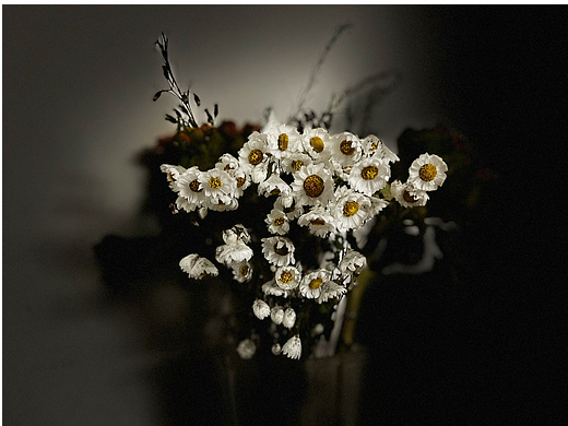 有一颗喜爱摄像的心和一个渣渣的技术