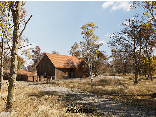 Maxtree | 秋日落叶