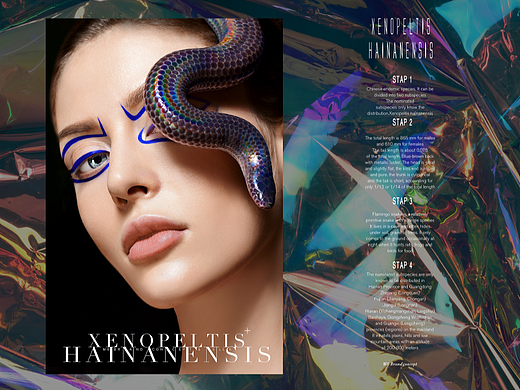 ELLA自然色概念彩妆KV-2