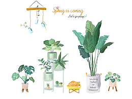植物插画