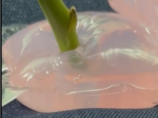 4.4 — 如何在宿舍拍一支低成本广告（短视频）