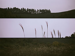 摄影/风景