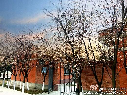 身边美-大学医务室