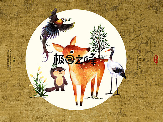 极目之峰-云雾野生茶 