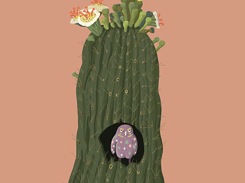 Saguaro·K 姬鴞（个人主页-ZMjkwNzgzNjQ=） - 概念设定 - 站酷设计师正一山俏原创素材 - 站酷ZCOOL