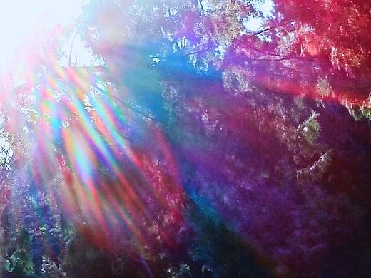 紫气东来(光影)