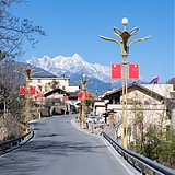 Mapo_toufu的头像
