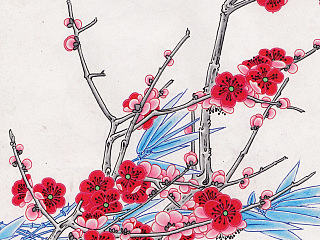 鬼马刺客原创：彩铅画花鸟7