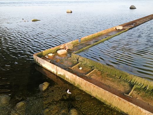 黄河
