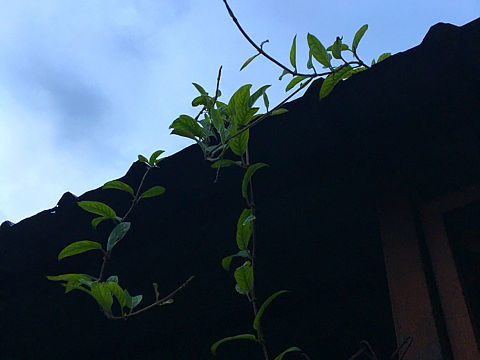 雨季（个人主页-ZMTcwODk2OTY=） - 风光摄影 - 站酷设计师陈狮子原创素材 - 站酷ZCOOL