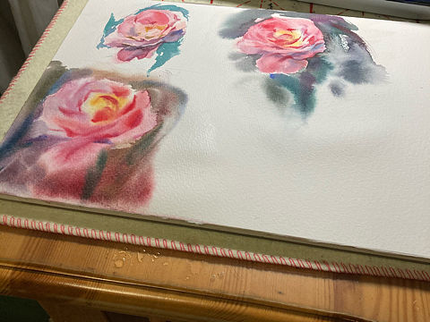 水彩 花卉插画