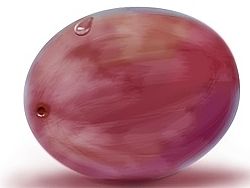 畫(huà)了個(gè)果（個(gè)人主頁(yè)-ZMTI3NTcwODQ=） - 圖案 - 站酷設(shè)計(jì)師木立水原創(chuàng)素材 - 站酷ZCOOL