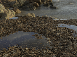 程序纹理地面【SD学习记录01】