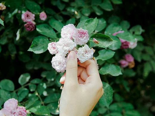 花語(yǔ)（個(gè)人主頁(yè)-ZMjIyODc4Mjg=） - 人像攝影 - 站酷設(shè)計(jì)師攝影啊五原創(chuàng)素材 - 站酷ZCOOL