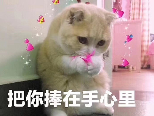 作品整理平面-包装141002年前添加表情