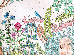 秘密花園填色系列