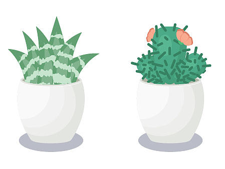 矢量植物盆栽