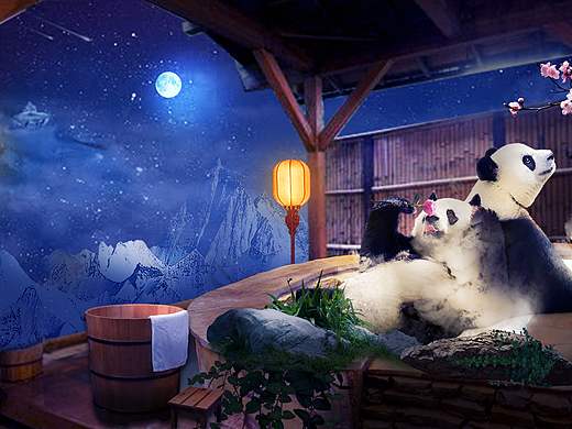 感恩节快乐！（个人主页-ZNDg2NTMxODg=） - 海报 - 站酷设计师Janemucy原创素材 - 站酷ZCOOL