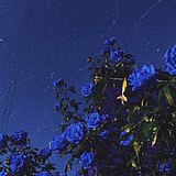 可予山海的头像