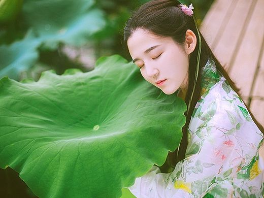 梦入芙蓉浦