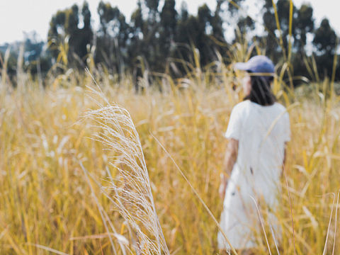 26（个人主页-ZMzg1NjUzNTI=） - 风光摄影 - 站酷设计师simplemelody原创素材 - 站酷ZCOOL