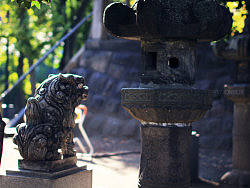 一路往东，拍在日本