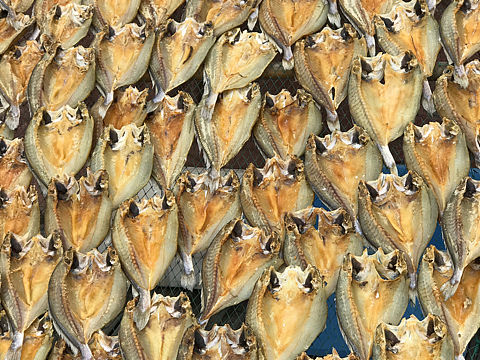 晒干（个人主页-ZMzk1MjAyOTY=） - 人文/纪实摄影 - 站酷设计师woshi八百里原创素材 - 站酷ZCOOL